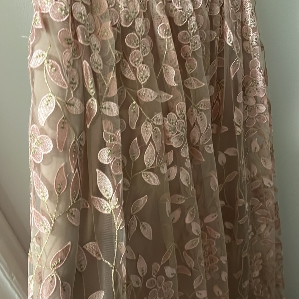 Adrianna Papell Blush Pink and Nude Floral Embroidered Maxi Dress - Picture 3 of 6